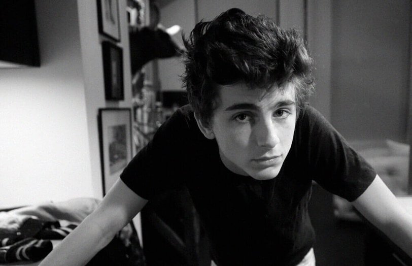 Тимоти Шаламе общается по скайпу