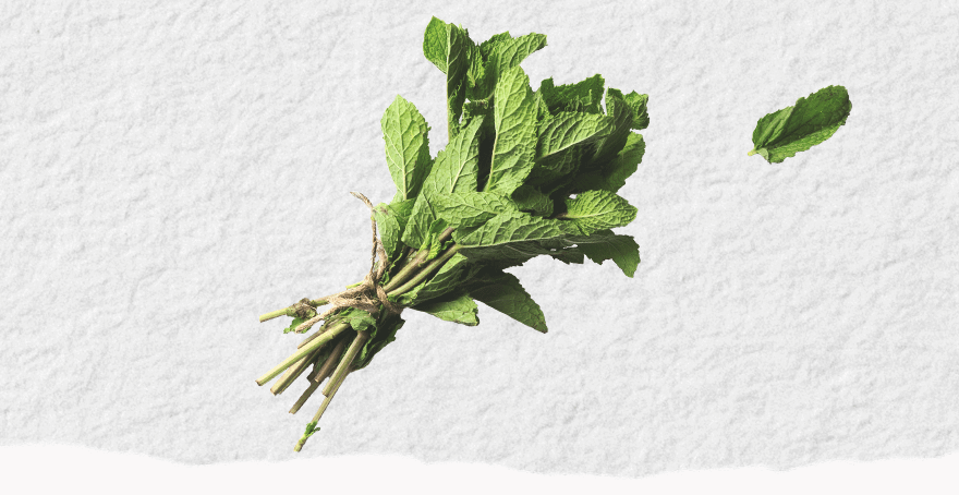 мята от тошноты