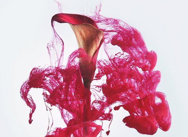 Спазмы без менструаций: 7 причин, почему у тебя может болеть низ живота ...