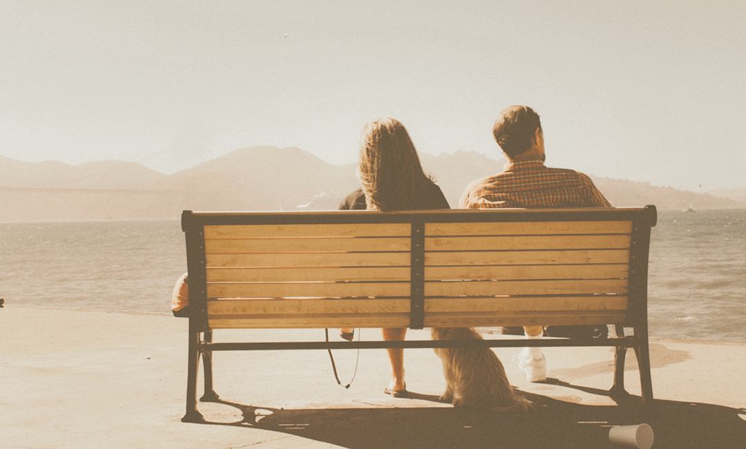 Двое друзей и пёс