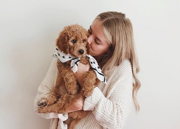 Гладь, люби, хвали: как правильно воспитывать щенка