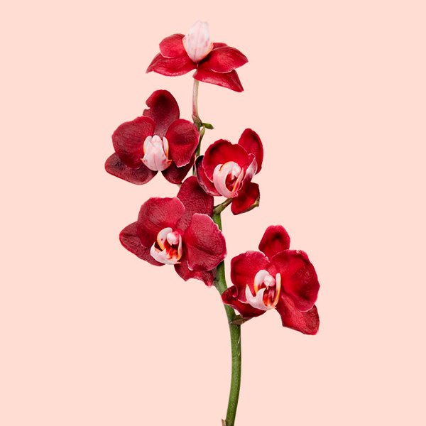 Почему твоя менструация длится дольше обычного – HEROINE