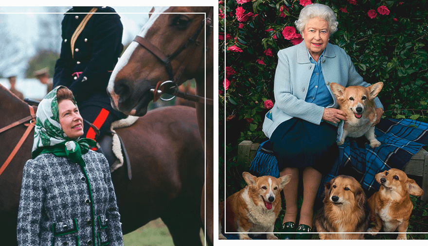 Королева Елизавета