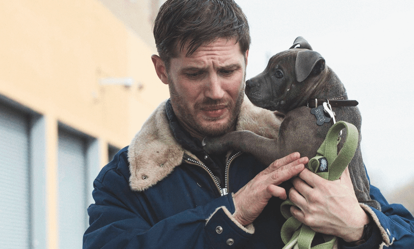 Том Харди с собакой