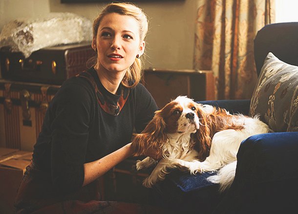 Как правильно заботиться о своем домашнем питомце: 5 советов от ...