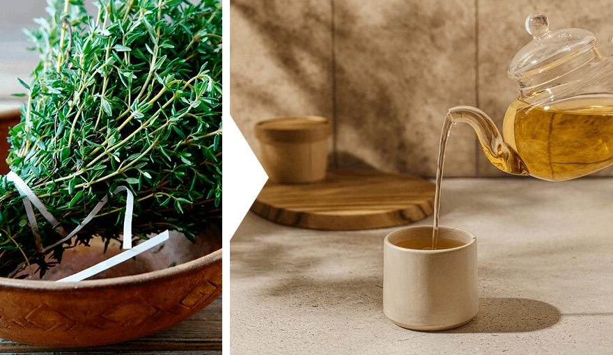 12 видов чая, которые стоит пить, если замучил кашель – HEROINE